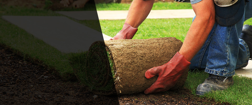 Saylorsburg Landscapers